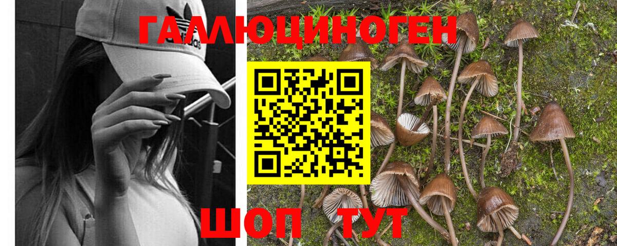 Галлюциногенные грибы MAGIC MUSHROOMS Анжеро-Судженск