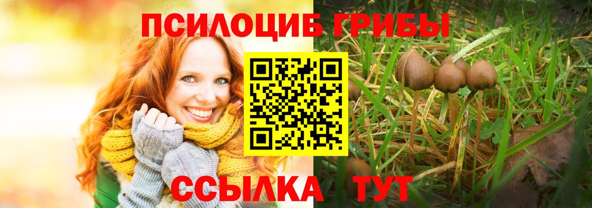 Анжеро-Судженск  Псилоцибиновые грибы мицелий  Вход с VPN 
